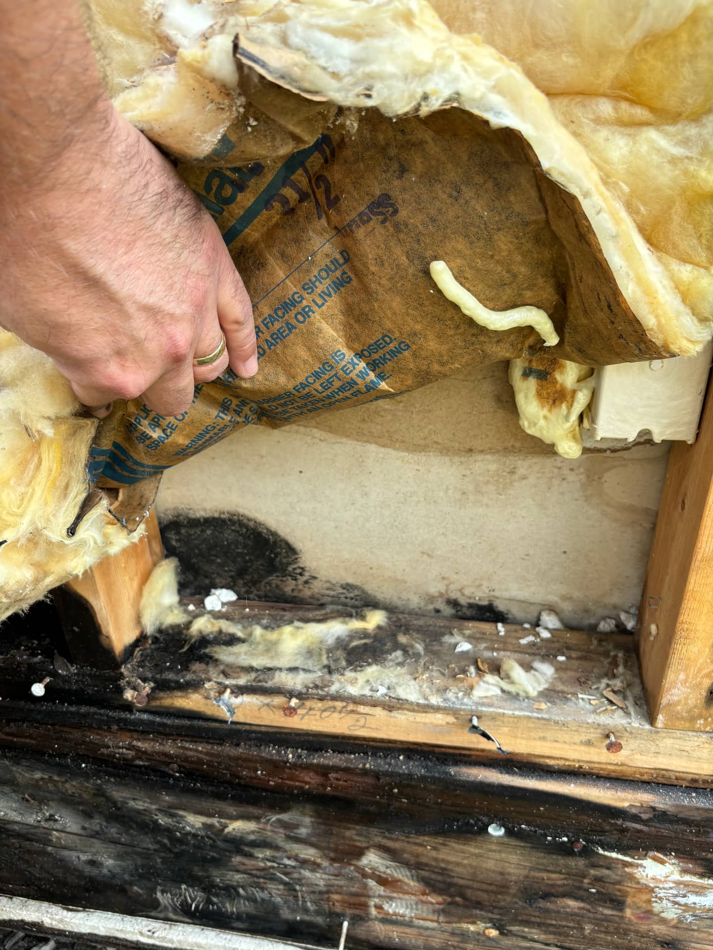 Mold remediation work photo 74