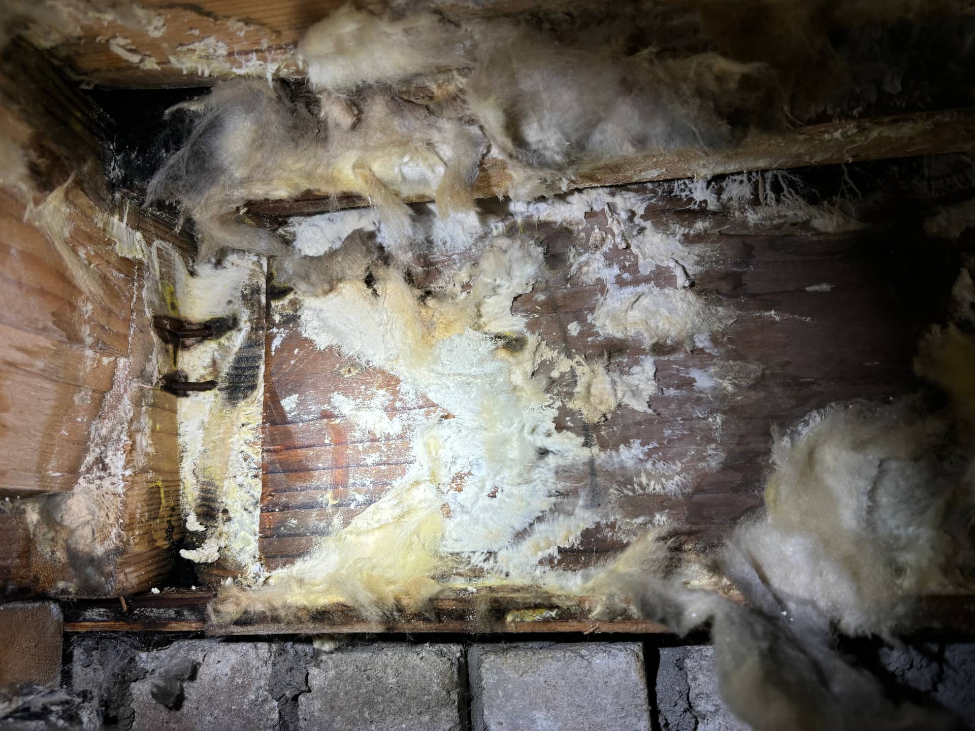 Mold remediation work photo 81
