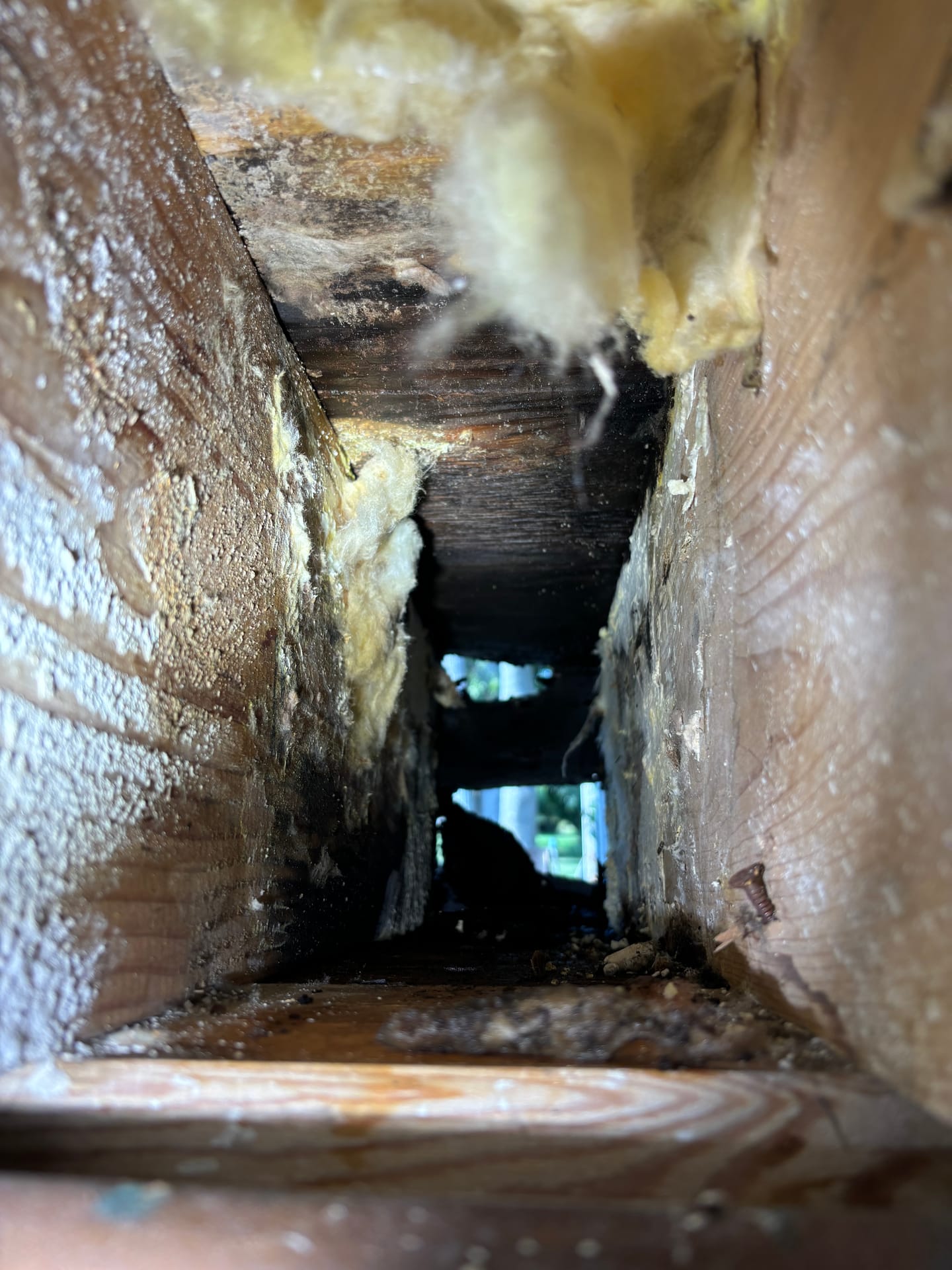 Mold remediation work photo 82