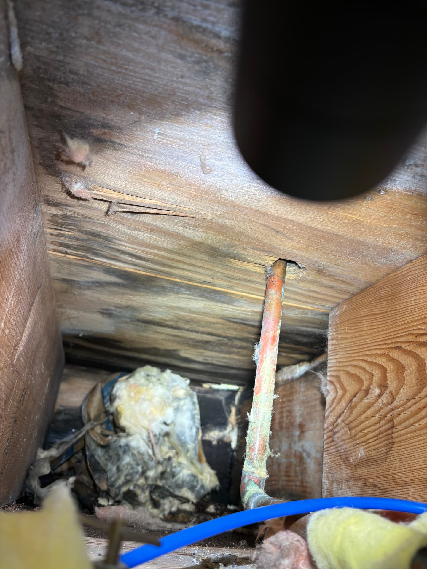 Mold remediation work photo 83