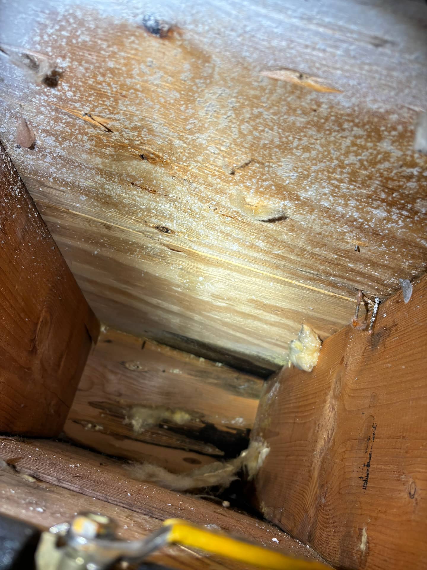 Mold remediation work photo 84