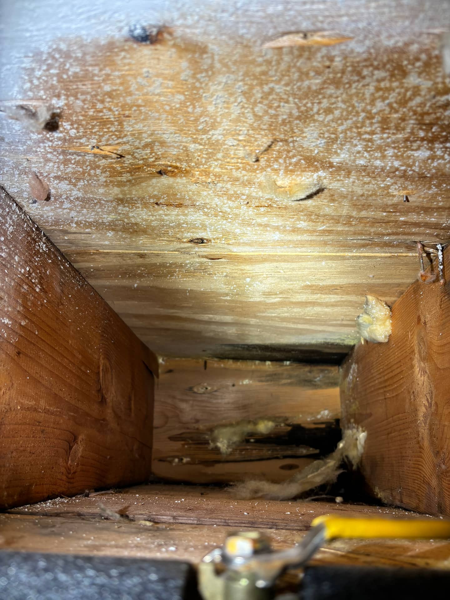 Mold remediation work photo 85