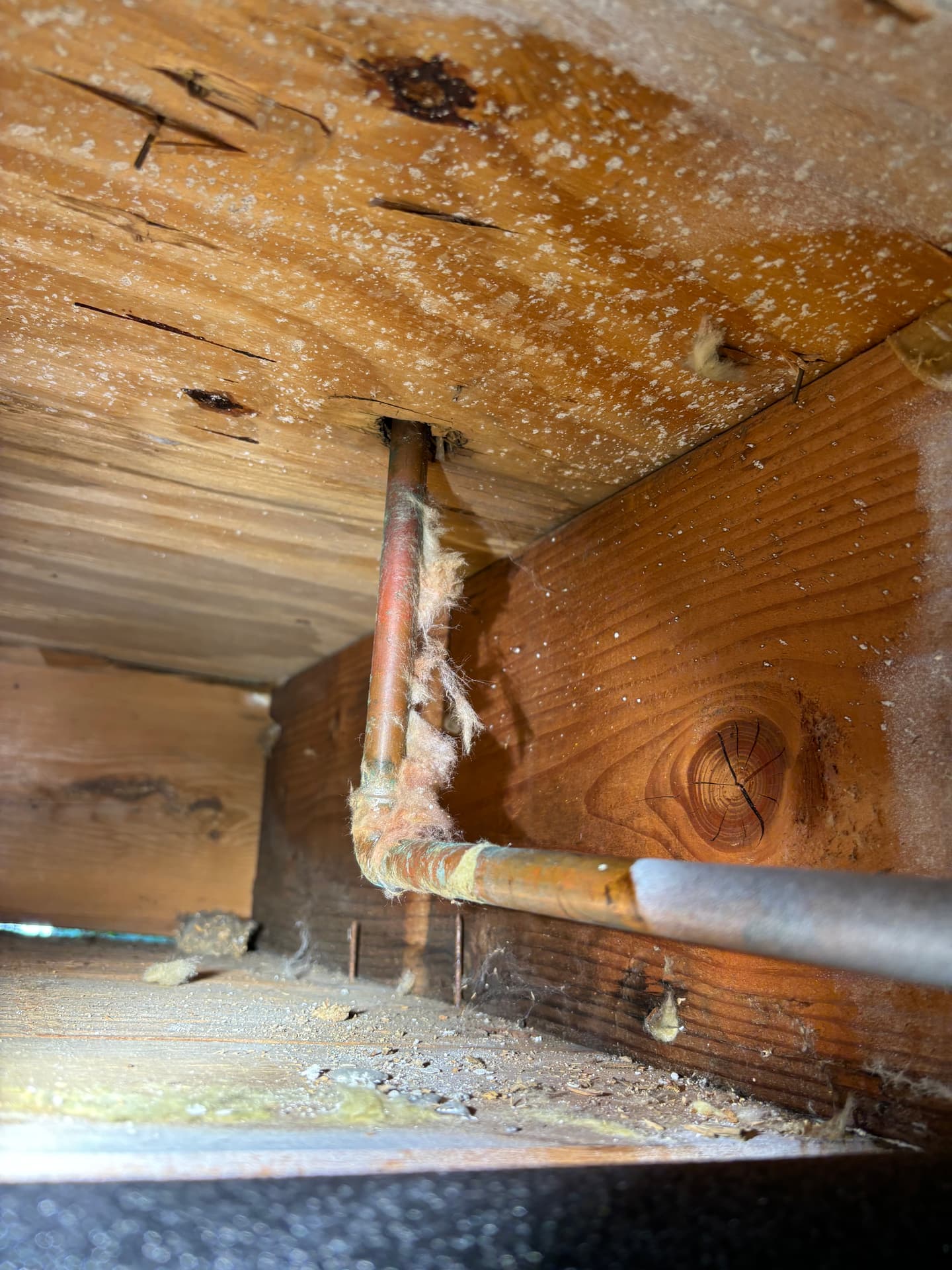 Mold remediation work photo 86