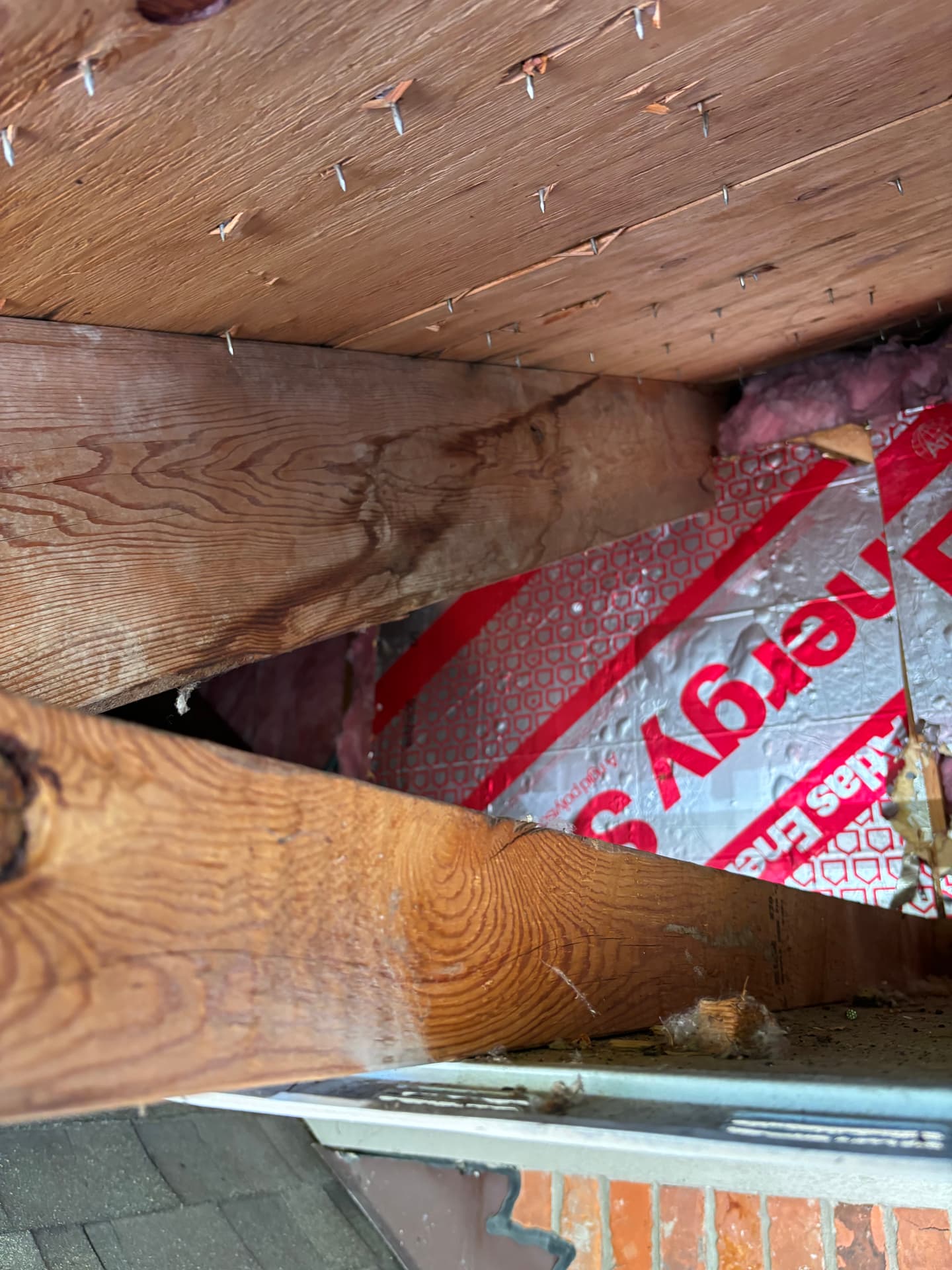 Mold remediation work photo 91