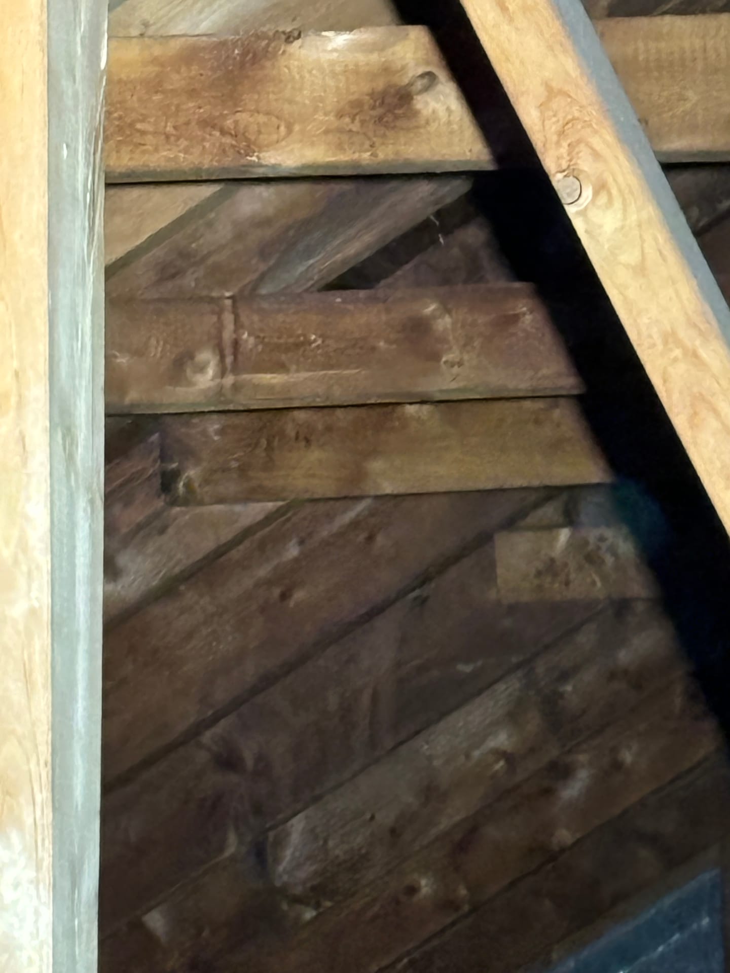 Mold remediation work photo 92