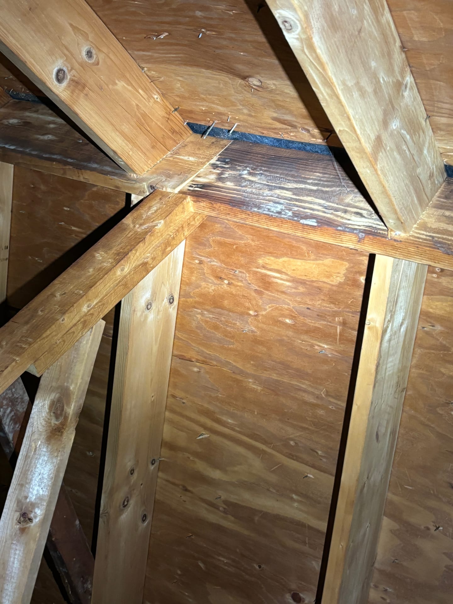 Mold remediation work photo 95