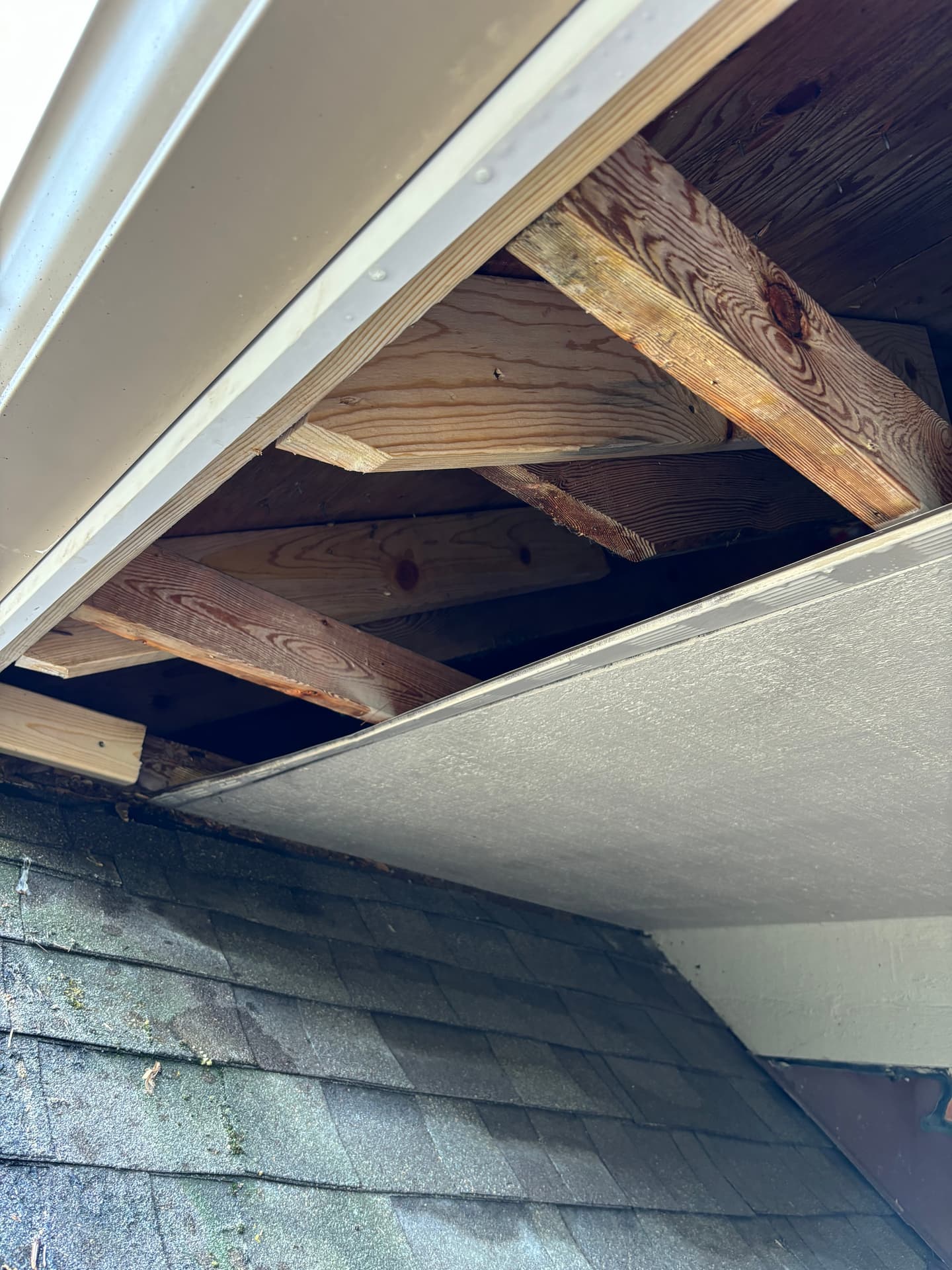Mold remediation work photo 96