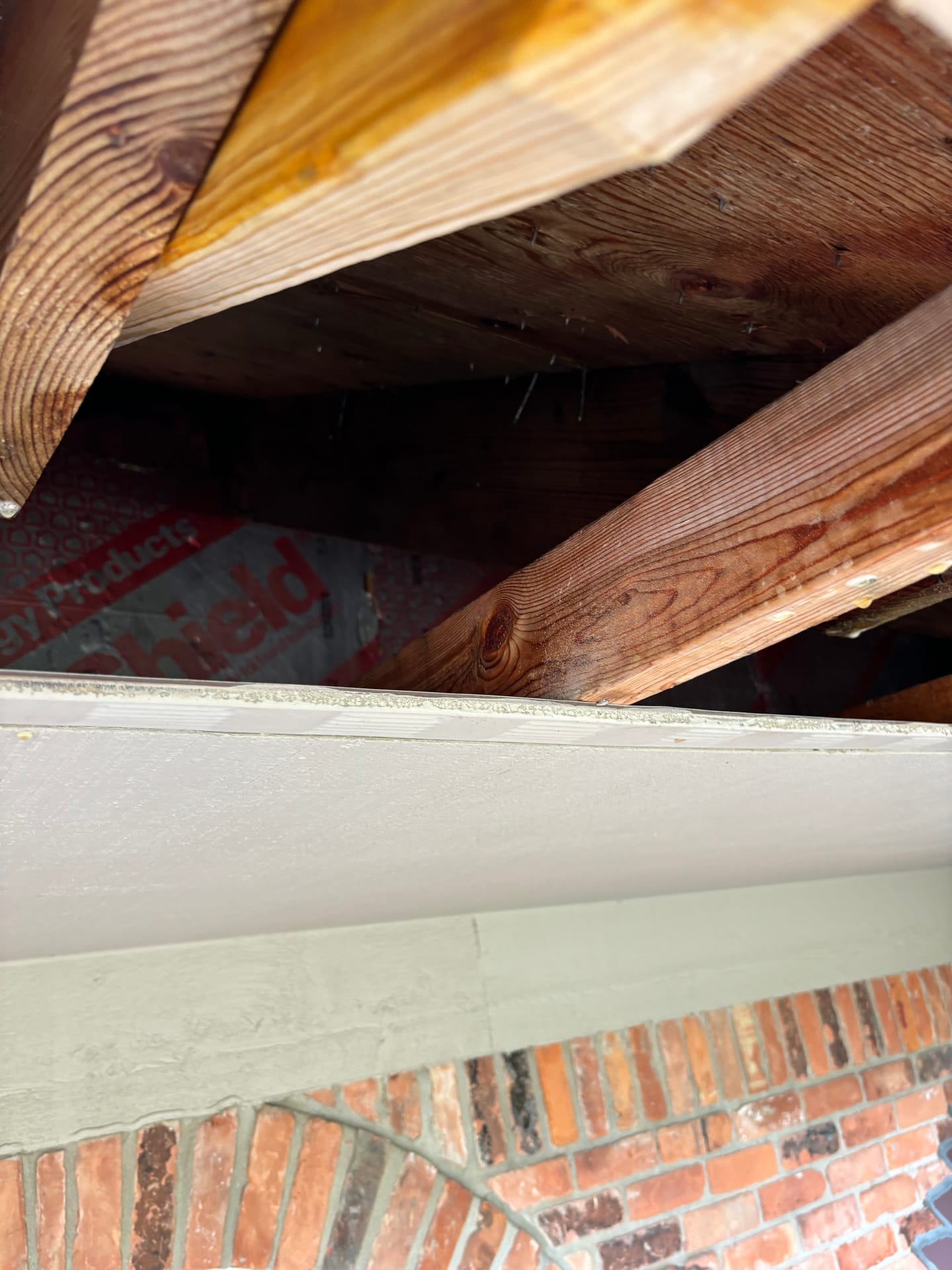 Mold remediation work photo 98