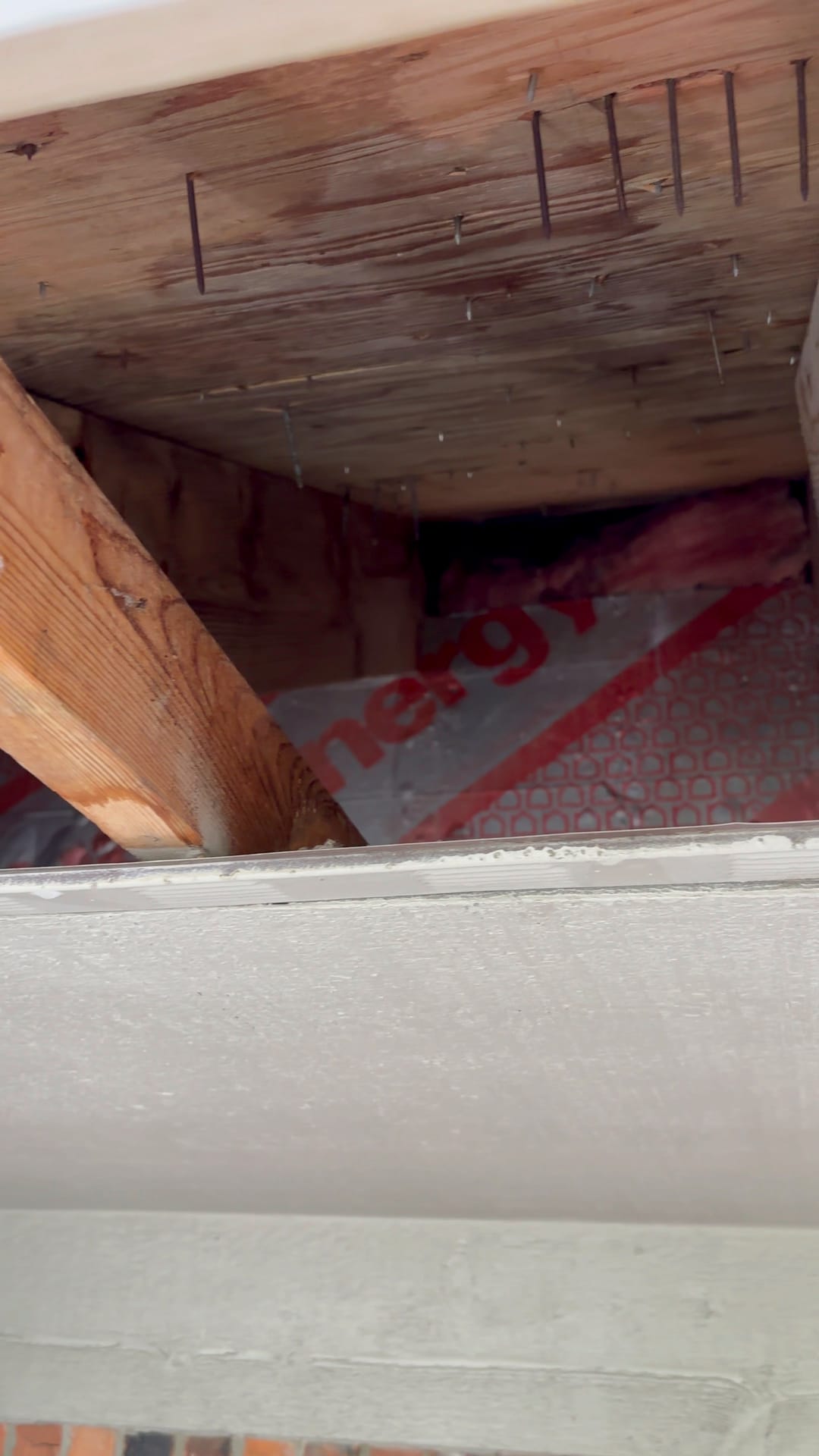 Mold remediation work photo 99