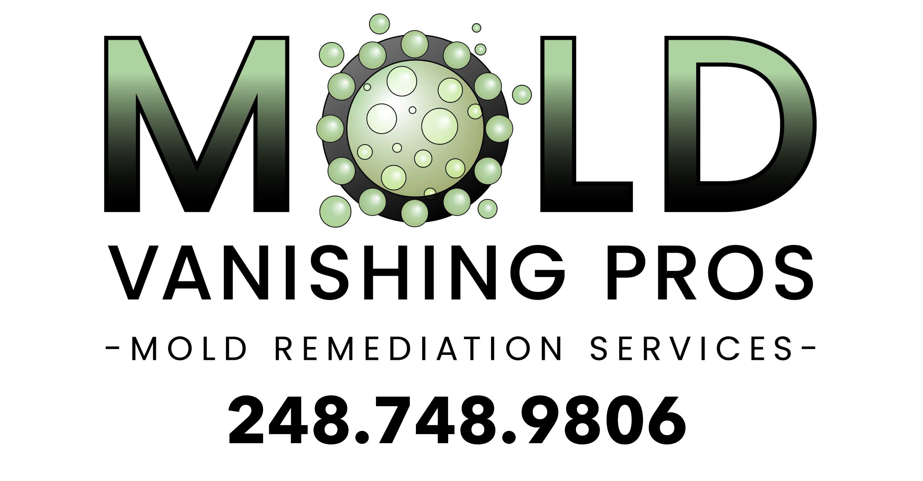 Mold Vanishing Pros
