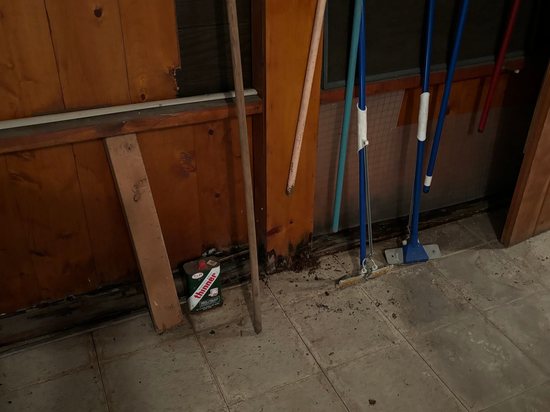 Black Mold Removal